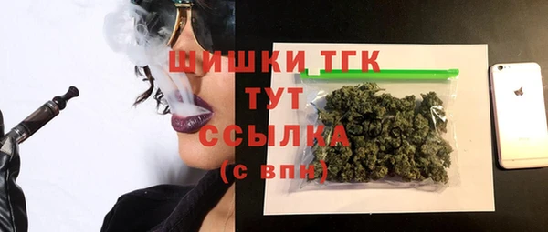 тгк Алексин