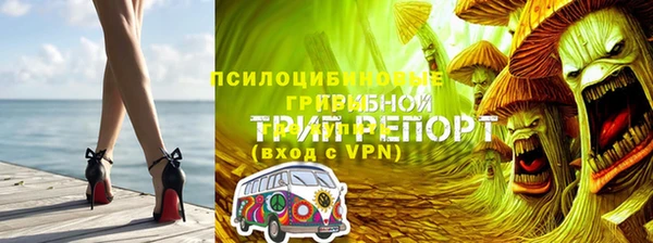 тгк Алексин